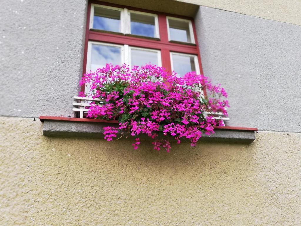 Villa Oliva Český Krumlov Exterior foto